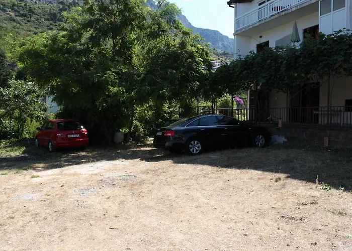 2617g Podaca