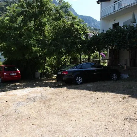 2617g Podaca